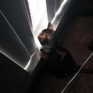 Meet your Posher, Lindsey